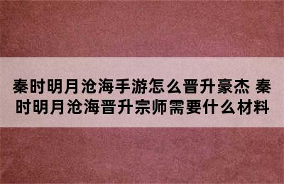 秦时明月沧海手游怎么晋升豪杰 秦时明月沧海晋升宗师需要什么材料